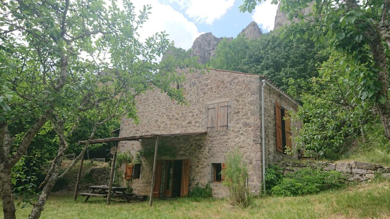 Maison De Vignes De Tournemire Tournemire  Luaran gambar