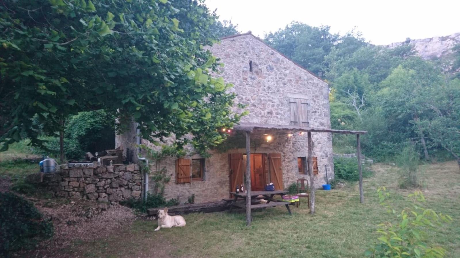 Maison De Vignes De Tournemire Tournemire  Luaran gambar